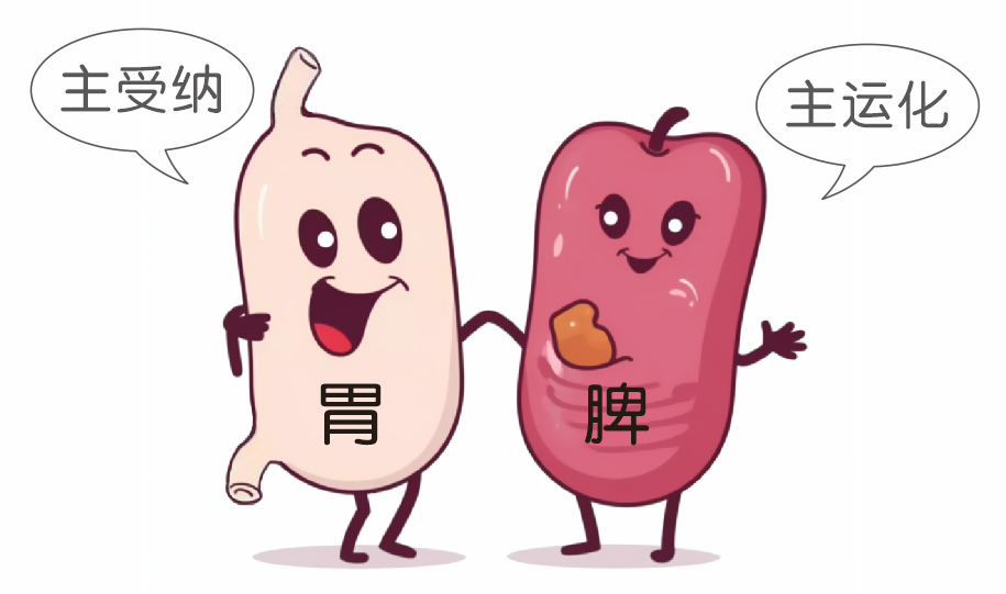 海迪生：中医视角下的扁桃体与腺样体肥大：脏腑和谐，健康之基