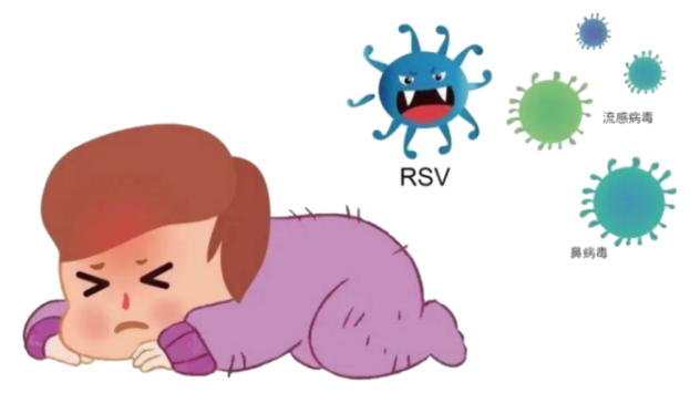 海迪生：秋季高发！“隐形杀手”RSV对儿童呼吸道健康的威胁与防护措施